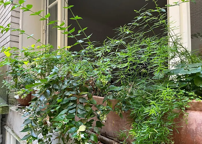 Comme Une Petite Maison